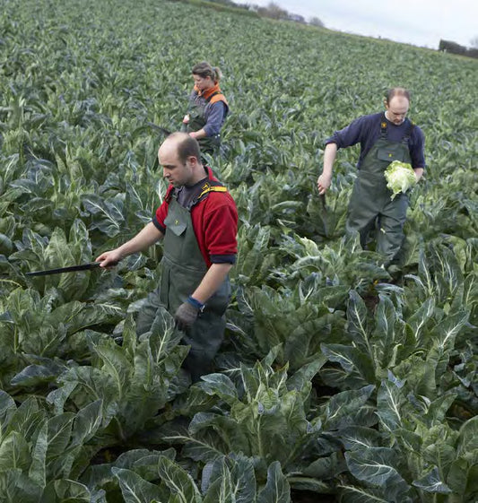 Guy Cotten CBD Bib & Braces - Heavy Duty